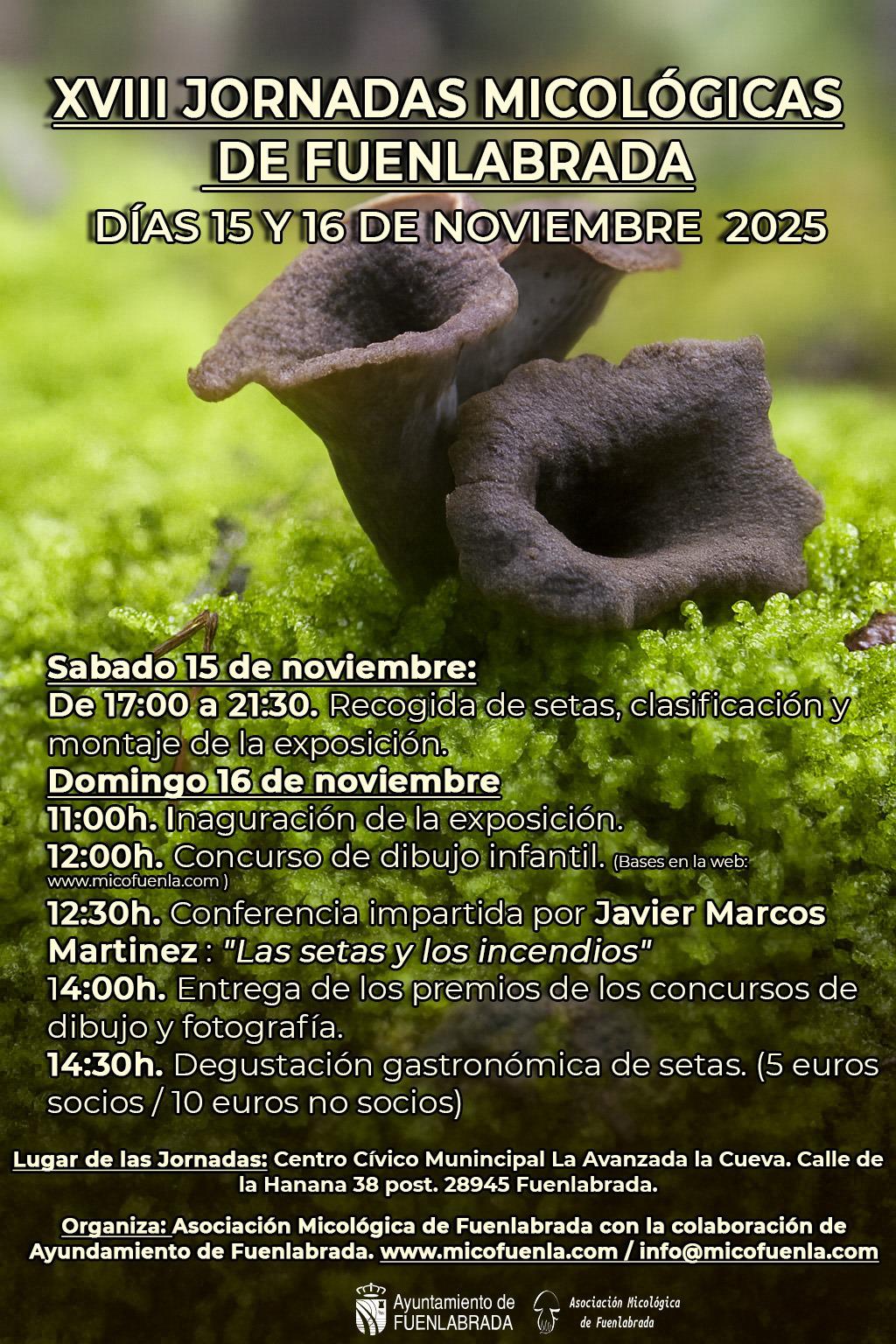 horario concurso fotografia